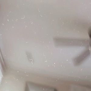 Meet your Posher, Nia